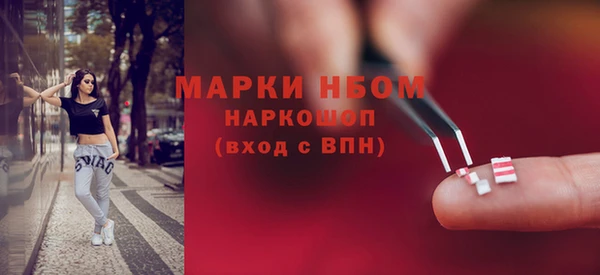 Альфа ПВП Горняк