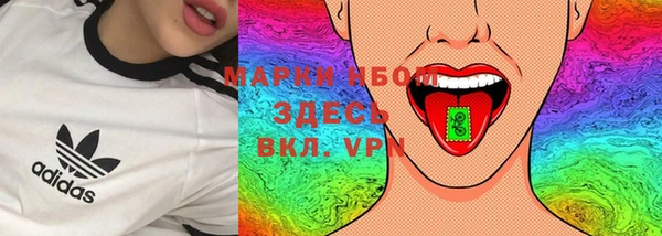 Альфа ПВП Горняк