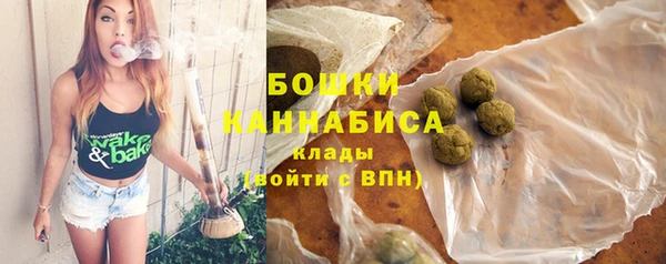 Альфа ПВП Горняк